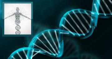 انسانی جینوم پروجیکٹ: سائنسی تاریخ میں ایک تاریخی باب