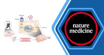 نئے مطالعہ سے پتہ چلتا ہے کہ ورزش یادداشت کو بہتر بنا سکتی ہے۔