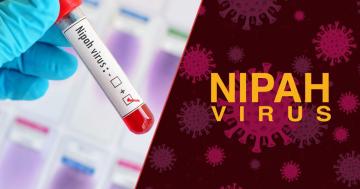 نپاہ وائرس: پنجاب نے وائرس کے شدید خطرہ  پر ہائی الرٹ کا اعلان کر دیا۔