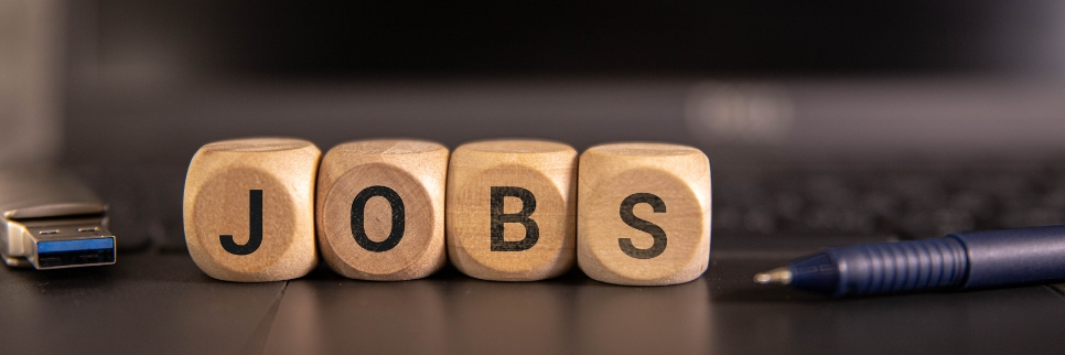 Best Jobs Pakistan 2025: High Paying Careers for Students