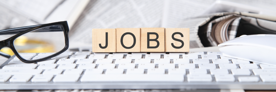 Government Clerical & Administrative Jobs – Anti-Terrorism Court Lahore- Apply Now!