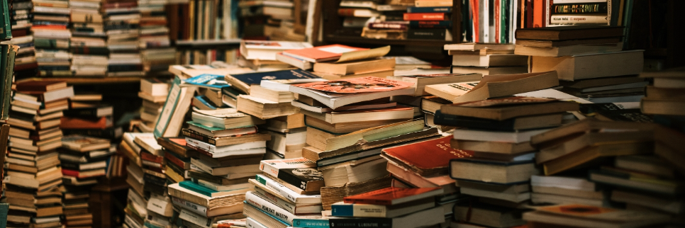 Punjab Releases Updated Urdu Textbook for Intermediate