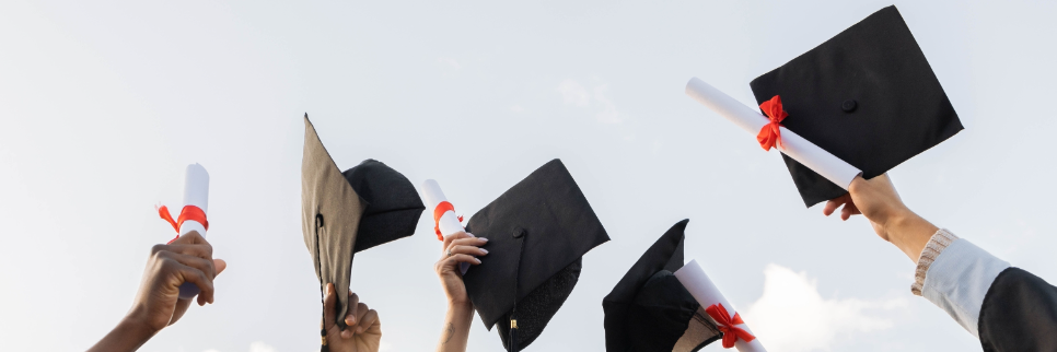 Federal Minister announces fresh scholarships for female students