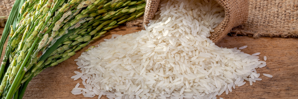 Pak, Chinese universities develop new hybrid rice seed