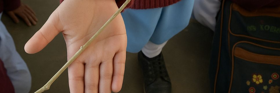 Islamabad schools ordered to end corporal punishment of students