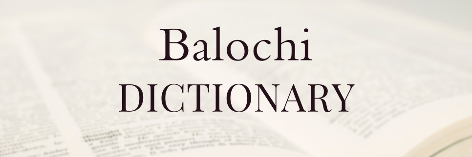 First online "Labzganj" Balochi dictionary launched