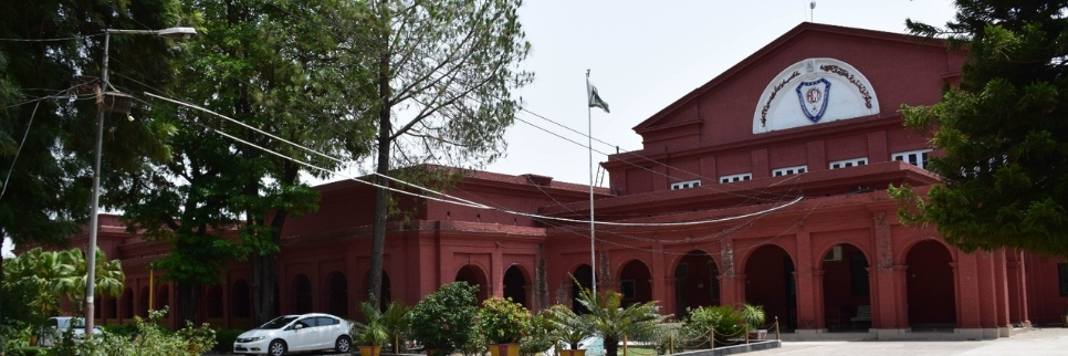 University of Rasul, Mandi Bahauddin