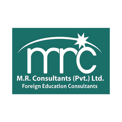 Consultant Logo
